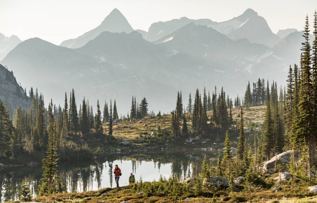 https://www.tricitylocalnews.com/wp-content/uploads/2024/03/valhalla-park-in-BC.png