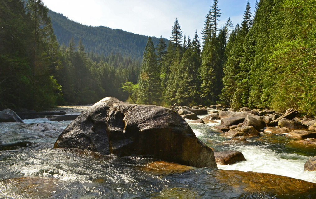 https://www.tricitylocalnews.com/wp-content/uploads/2025/03/Golden-Ears-Park.png